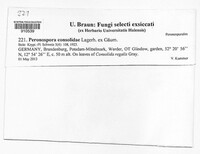 Image Associated With the Occurence
